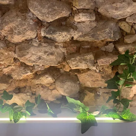 L'apartement D'odine דירה